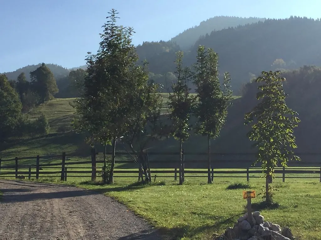 Landgut Moralthof Appartement Lenggries